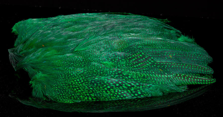 Guinea Fowl Body Skin