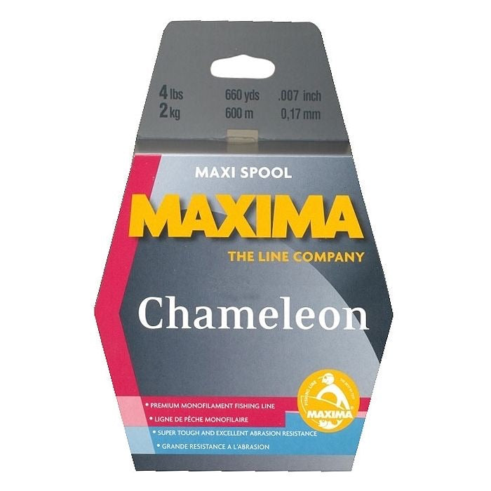 Maxima Chameleon