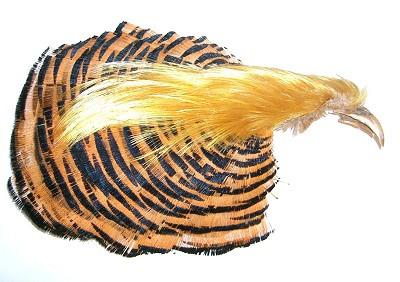 Veniard Golden Pheasant Complete Head 1st Quality
