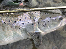 Load image into Gallery viewer, ‘Wild Salmon’ C&amp;R Measuring Sticker