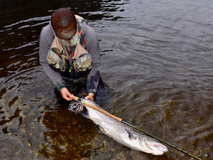 ‘Wild Salmon’ C&R Measuring Sticker