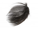Mallard Barred Flank Feathers