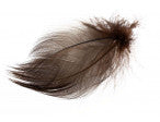 Load image into Gallery viewer, Mallard Barred Flank Feathers