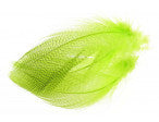 Mallard Barred Flank Feathers