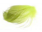 Load image into Gallery viewer, Mallard Barred Flank Feathers