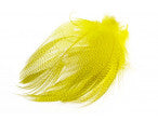 Mallard Barred Flank Feathers
