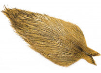 Whiting Coq De Leon Capes