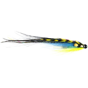 Elver Money JC AL Tube 1Inch