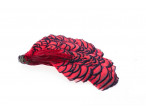 Load image into Gallery viewer, Amherst Pheasant Head