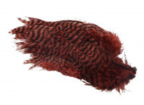 Metz Soft Hackles Grizzly