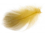 Mallard Barred Flank Feathers