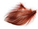 Mallard Barred Flank Feathers