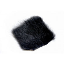 Load image into Gallery viewer, American Opossum